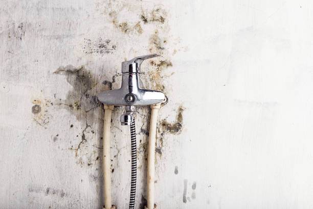 Best Mold Cleaning Services  in Martinsville, NJ
