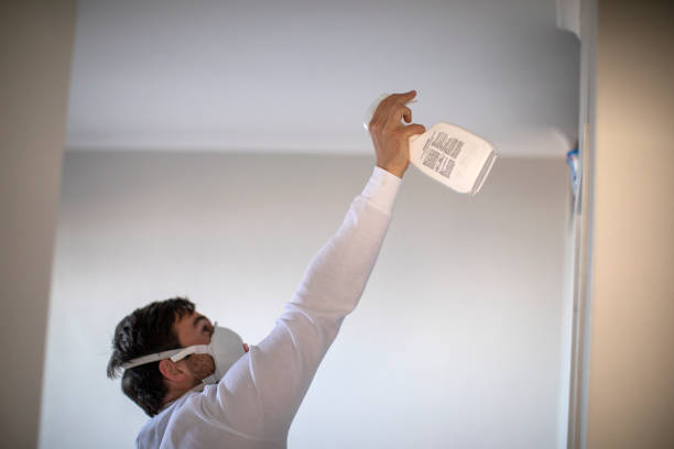 Best Attic Mold Removal  in Martinsville, NJ