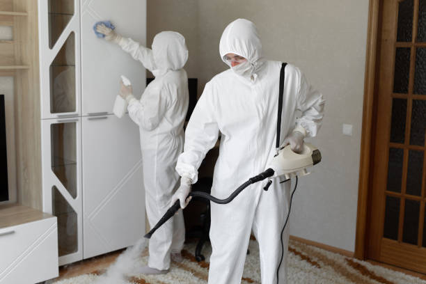 Best Residential Mold Removal  in Martinsville, NJ