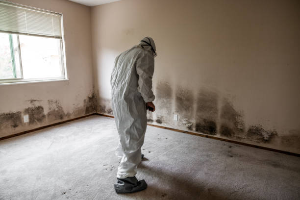 Best Crawl Space Mold Removal  in Martinsville, NJ