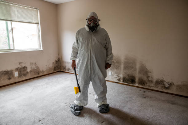 Best Mold Remediation  in Martinsville, NJ