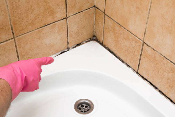 Best Commercial Mold Removal  in Martinsville, NJ